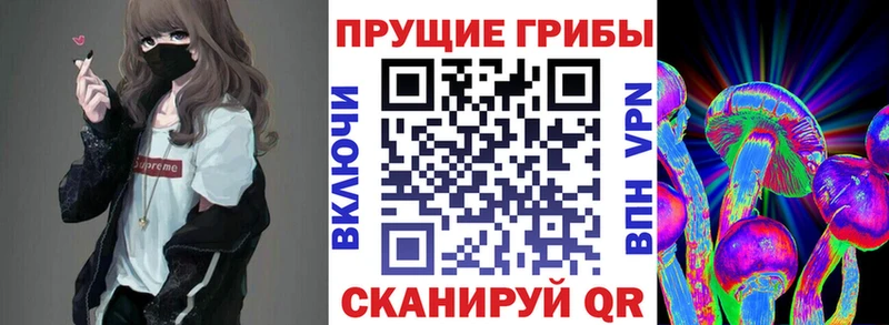 Галлюциногенные грибы Cubensis  Новотроицк 