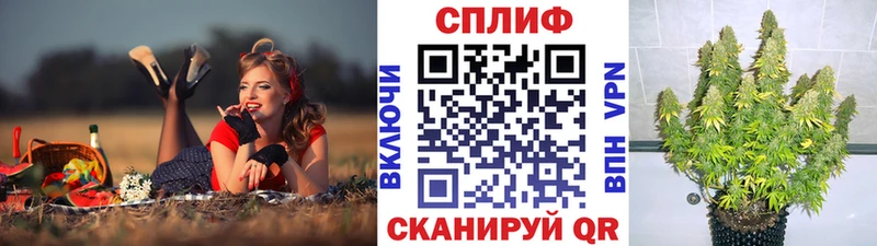 Бошки Шишки LSD WEED Новотроицк